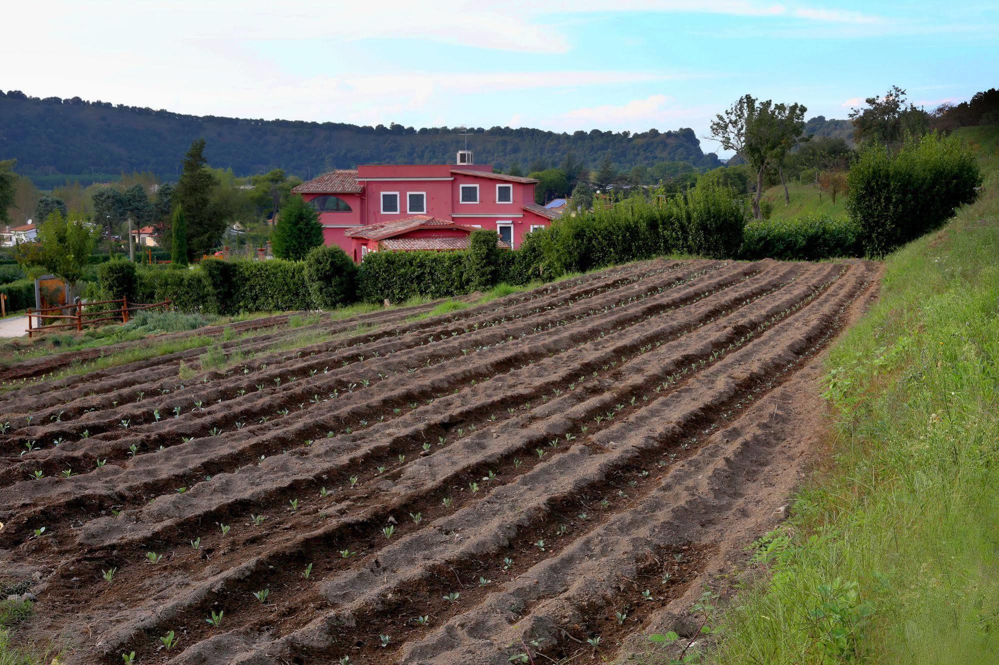 Agriturismo San Martino Farm stay *